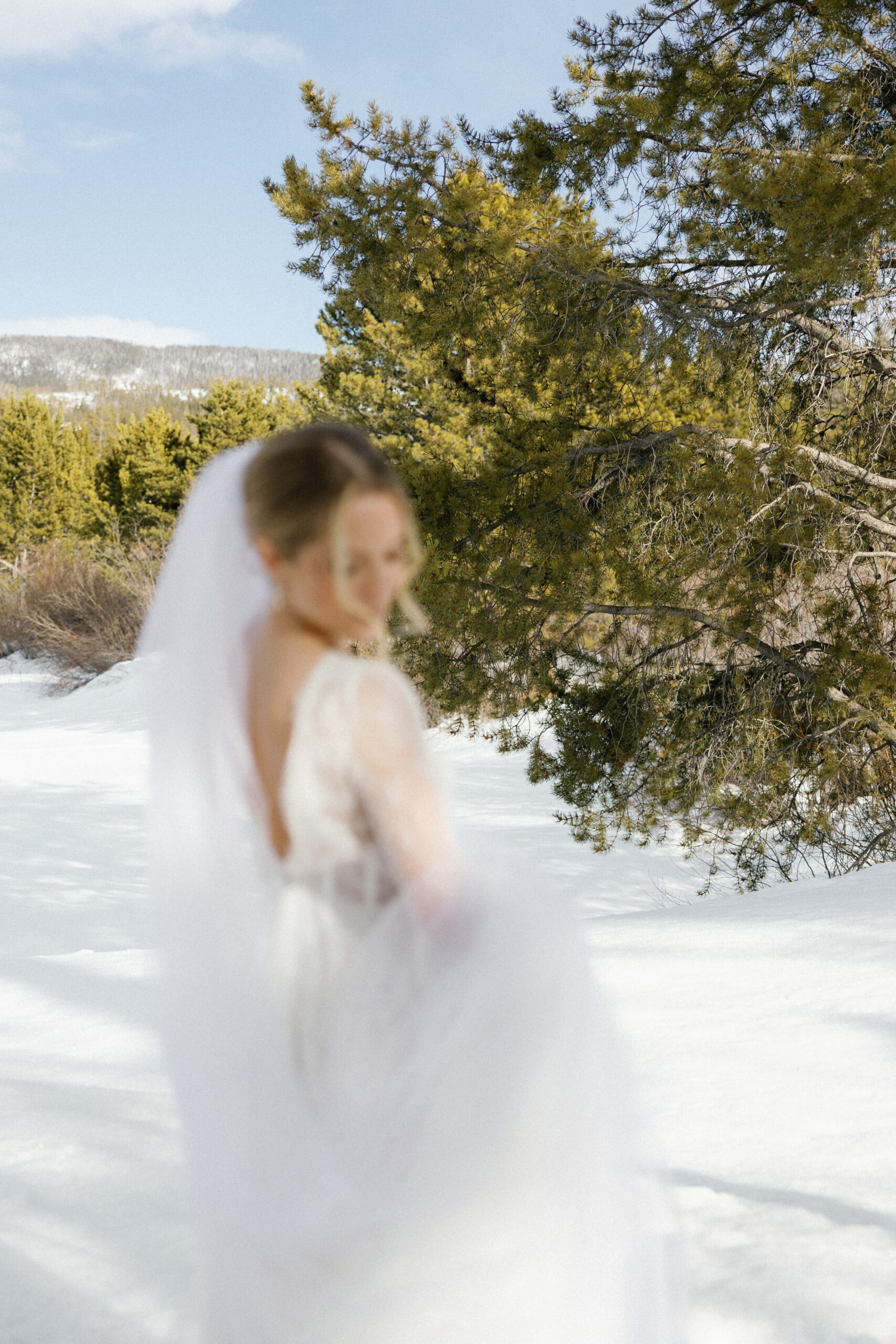 Bride in the snow in her wedding dress with tall pine trees surrounding.